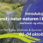 natur i kunsten_per espen stoknes_nikut