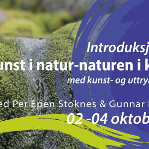 natur i kunsten_per espen stoknes_nikut